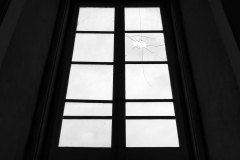 DSC08343-19_11_2019