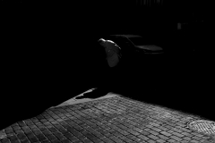 rq_DSC06730_09_2016